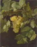 Dänisch, um 1850, Weinrebe, Öl auf Leinwand