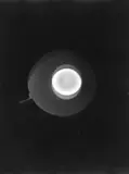 Floris Michael Neusüss, Aus der Serie „'geschirr'- (fotogramme), 1965, Vintage. Silbergelatineabzug. Agfa-Brovira-Papier. Unikat