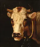Portrait of a short-horned bull by Albertus Verhoesen, oil on panel, offered Apr 2016