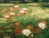 Nadezhda Stupina, Water lilies