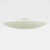 Ceiling lamp by Esther and Gross Wood, c. 1955, painted steel, sold Apr 2024
