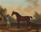 Francis Sartorius, 'Vestris' held by a jockey, oil on canvas