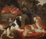 Pier Francesco Cittadini, Dogs and a parrot in a landscape, oil on canvas
