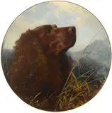 George Earl, A Sussex spaniel, oil on canvas laid down on board