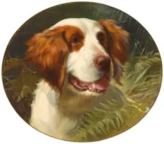 A Brittany spaniel by George Earl, oil on canvas laid down on board, sold Nov 2016