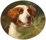 George Earl, A Brittany spaniel, oil on canvas laid down on board