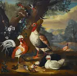 Pieter Casteels III, Fowl in a landscape, oil on canvas