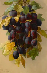 Edwin Deakin, A still life with plums, 1893, oil on canvas