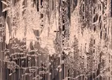 Ohne Titel by Yehudit Sasportas, Acryl und schwarzer Filzstift auf Hartfaserplatte, sold Jun 2012