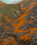 Golden poppies and lupine by California School, oil on canvas affixed to board, sold Nov 2016
