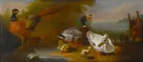Pieter Casteels III, A landscape with wild fowl, oil on canvas