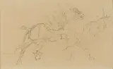 Henri de Toulouse-Lautrec, Chevaux de trait (recto); Croquis d'homme (verso)