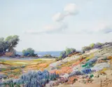 Wildflowers and sail boats by Angel Espoy, oil on canvas, sold Jun 2016