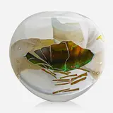 Joel Philip Myers, Opaque White