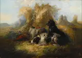 George Armfield, Two dogs resting by their master's lunch basket; also a companion painting of three terriers chasing a rabbit down a hole (a pair), first, indistinctly signed 'G A[...]' (lower right); second