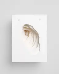 Angela Glajcar, Terforation, 2019, Papier, gerissen, mit Metallhalterung, in der Original-Holzbox