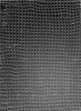 Ohne Titel (Netz). 1950er Jahre by Otto Maximilian Umbehr, Vintage. Bromsilbergelatineabzug eines Photogramms, sold May 2008