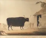 Luck; Fortune; A pair of Oxen by J. Pulley, watercolour, each, sold Feb 2016