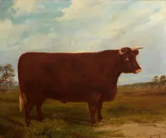 E. S. England, A North Devon Bull in a landscape, oil on canvas