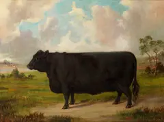 E. S. England, A Galloway Bull in a landscape, oil on canvas