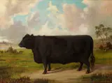 A Galloway Bull in a landscape by E. S. England, oil on canvas, sold Feb 2016