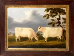 English Naïve School, Two white Shorthorn heiffers in a landscape, oil on canvas
