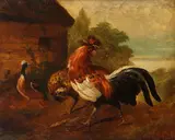 Cockerell and other foul by English School, oil on canvas, sold Feb 2016
