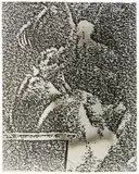 Biennale Venedig by Sigmar Polke, 1986, Gelatinesilberabzug auf Photopapier, sold Nov 2009