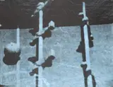 Fernsehbild (Kicker) I – IV by Sigmar Polke, 1971, 4 Offsetdrucke in Schwarz, jeweils auf leichtem, verschiedenfarbigem Karton, sold Jun 2009
