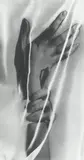 Solarized Hands by Man Ray, 1932, Silbergelatineabzug, 1975, sold Dec 2024