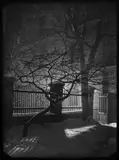 Ohne Titel (Blick aus dem Atelierfenster). Vermutlich 1950er Jahre by Josef Sudek, Späterer Silbergelatine-Kontaktabzug, sold Nov 2014