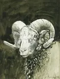 Bryan Organ, Ram's head