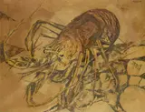 Lobster by Bryan Kneale Ra, sold Oct 2015