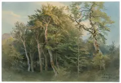 Carl Hummel, Misdroy, 1878, Aquarell auf Karton