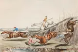 Henry Thomas Alken, A Steeple Chase, hand coloured engravings