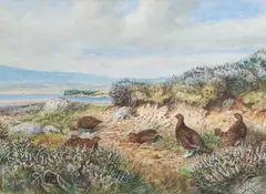 Grouse in a Landscape by Charles Stanley Todd, watercolour, offered May 2015