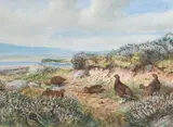 Charles Stanley Todd, Grouse in a Landscape, watercolour
