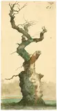 Paul Wilhelm Tubbecke, Im Ettersburger Park, 1870, Aquarell auf Velin