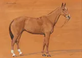 Buttercup by F. M. Hollams, oil on panel, sold May 2015