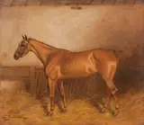 Bay Mare in a stable by Charles E. Gatehouse, oil on canvas, sold May 2015