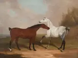 William Barraud, Two horses nipping, oil on canvas