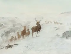 John Sydney Steel, Stags in a winter landscape, oil on canvas