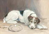 Marion Rodger Hamilton Harvey, Study of a terrier, watercolour