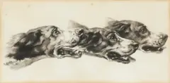 British School, Collection of six charcoal drawing of dogs, charcoal