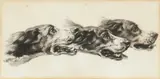 Collection of six charcoal drawing of dogs by British School, charcoal, sold May 2015