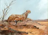 Cheetah by Spencer Hodge, oil on canvas, offered May 2015