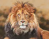 Male lion by Alan M. Hunt, oil on canvas, offered May 2015
