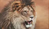 Alan M. Hunt, In His Prime, male lion, oil on panel