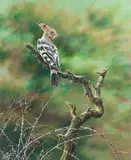 Hoopee Bird by Alan M. Hunt, oil on canvas, sold May 2015