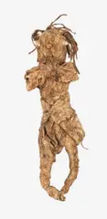Poupée by Michel Nedjar, Assemblage aus Baumwolle, getrockneten Gräsern, Muscheln, Knöpfen, Kordel, Sand und Papier. Höhe: 46 cm (18 ⅛ in.), sold May 2011